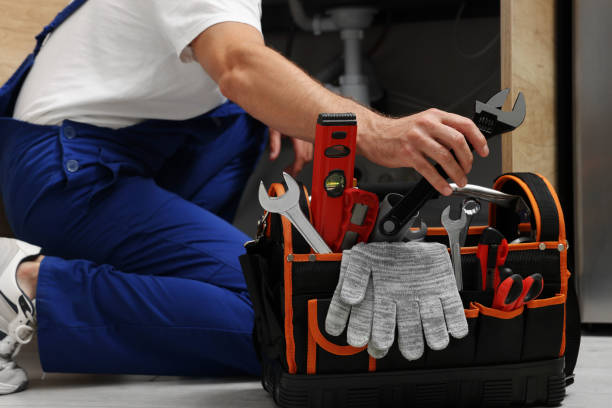 Best Clogged Drain Plumber  in Ladoga, IN
