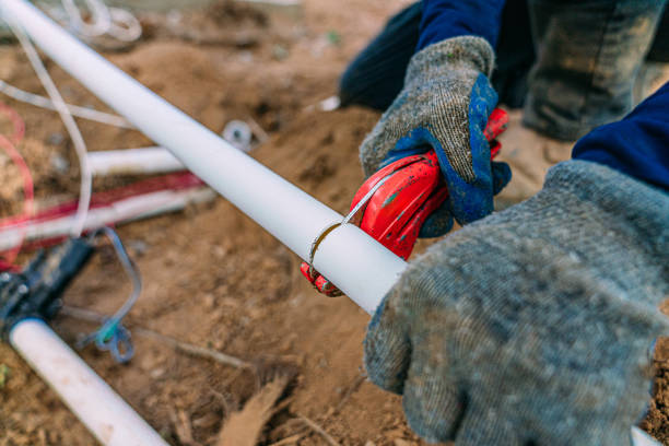 Best Local Plumber Services  in Ladoga, IN